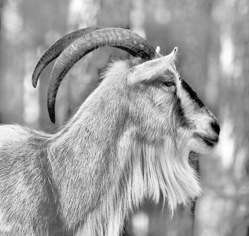 Photograph by Борис Кравецкий