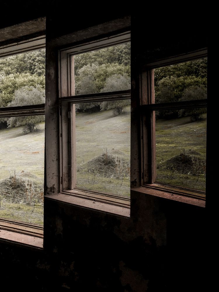 Photograph by Людмила Евстратова