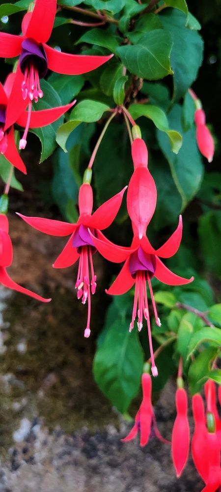 Photograph by Noemí Hornero Alonso