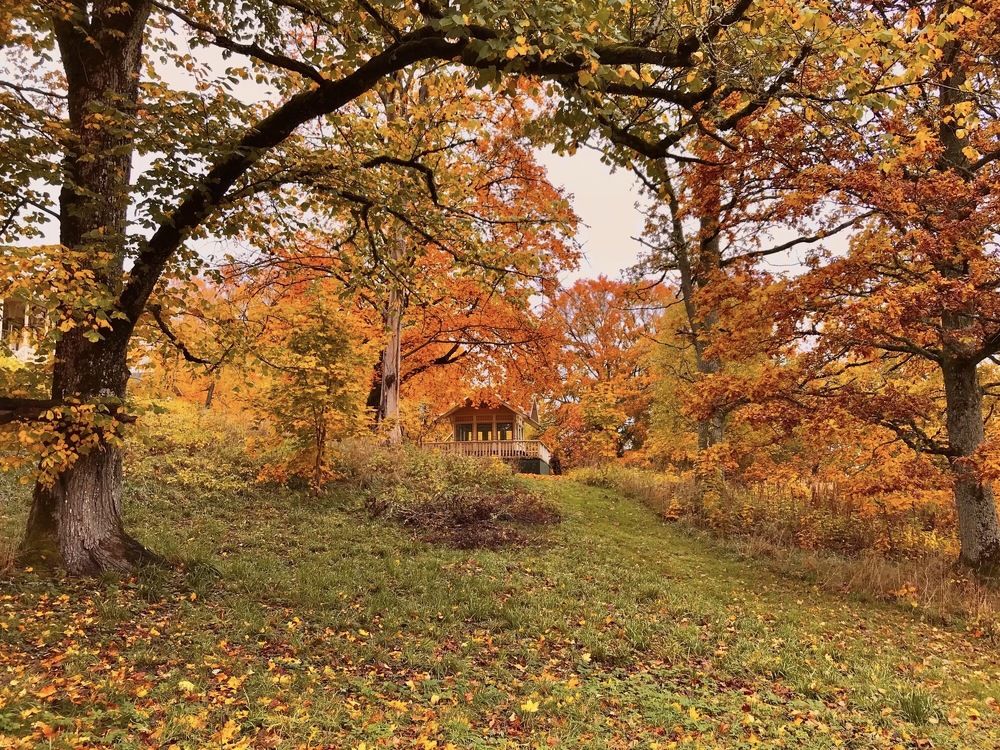 Photograph by Janina Segeda