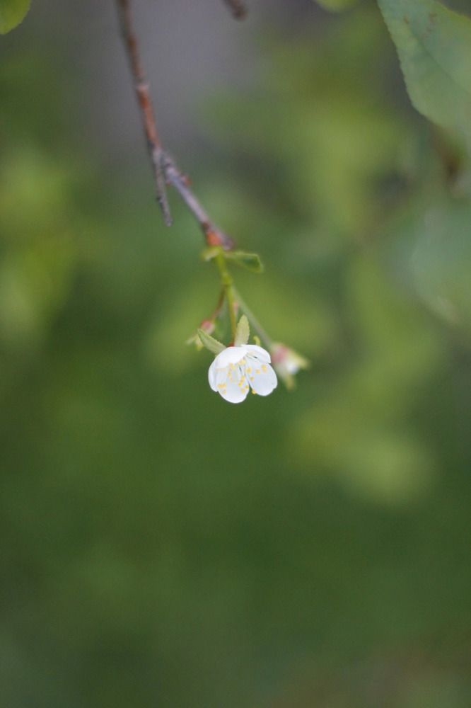 Photograph by Елена