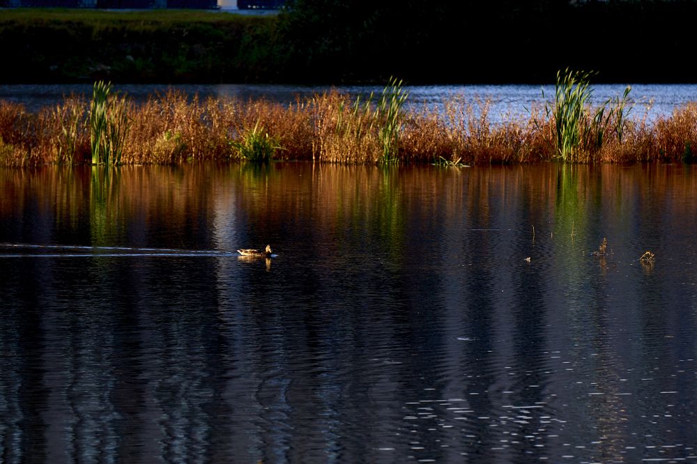 Photograph by Марина Моссий