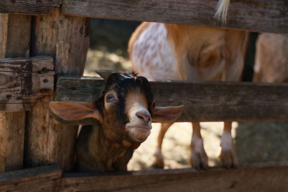 Photograph by Евгения Казакова