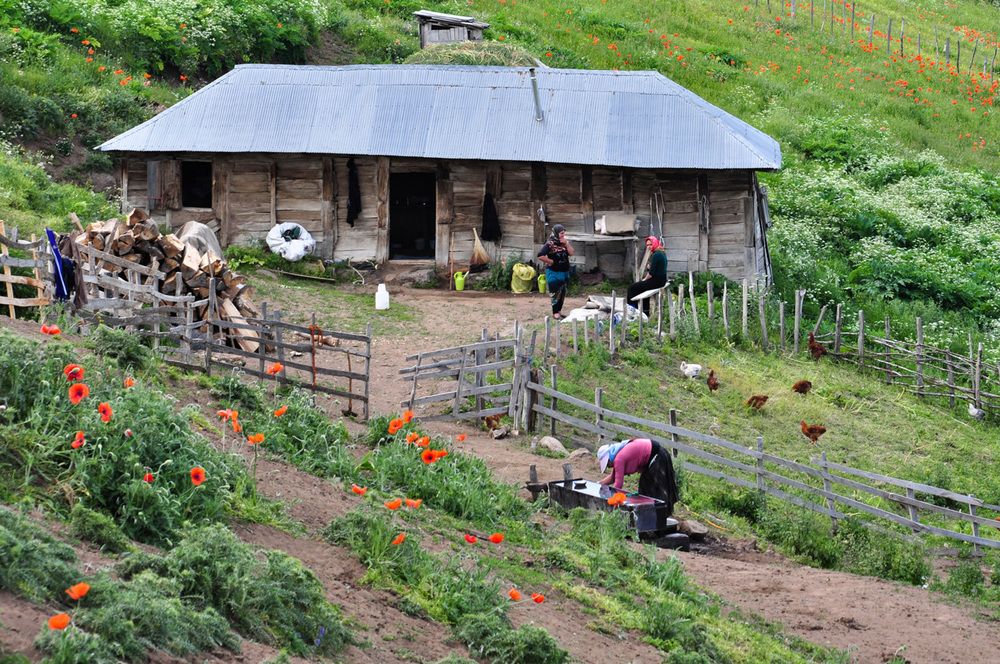 Фотография автора Erfan Rabiei dastjerdi