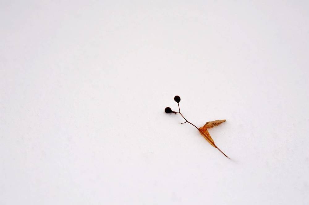 Photograph by Андрей Абрамов