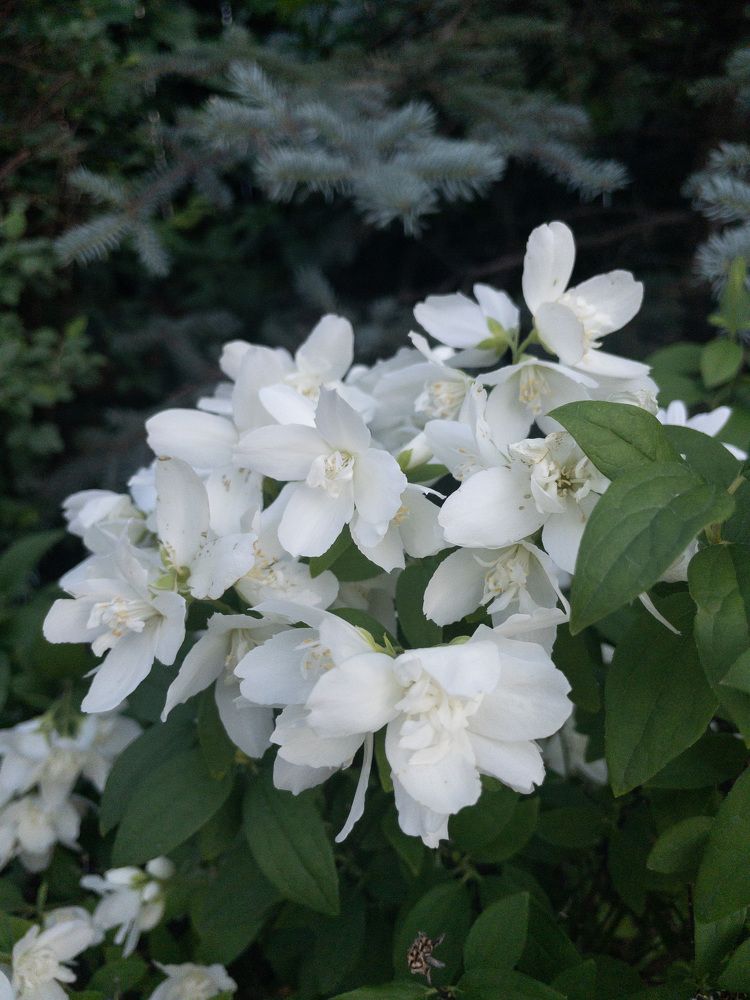 Photograph by Ольга Рачилова