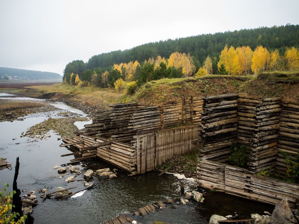 Photograph by Алена Алалыкина