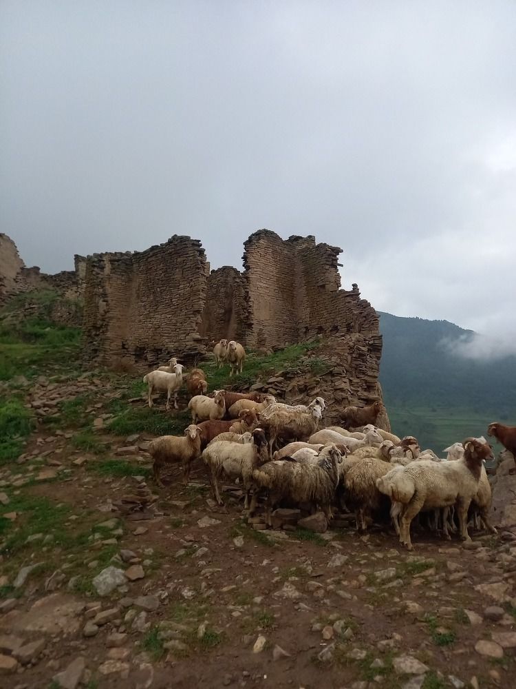 Photograph by Viktoria Vavilkina