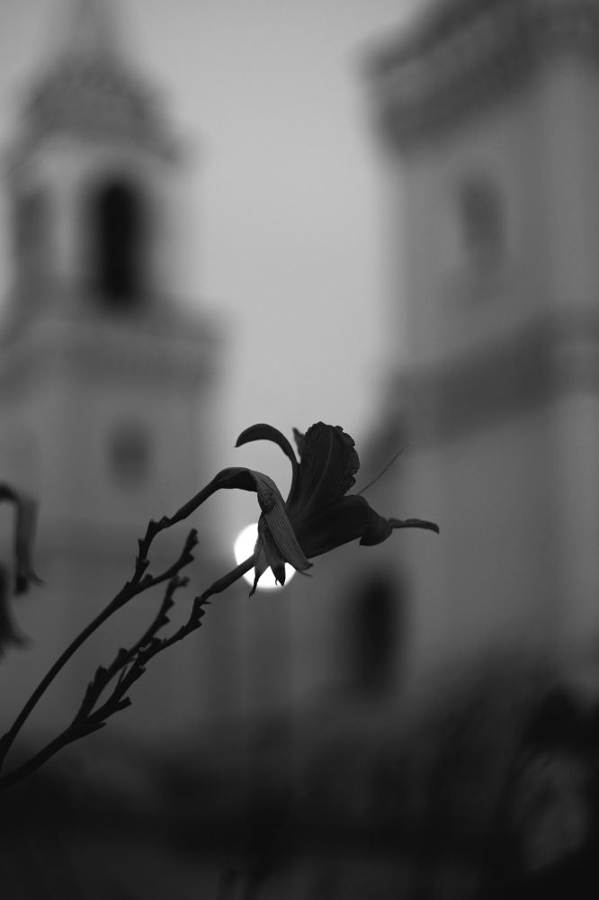 Фотография автора Колобаев Глеб