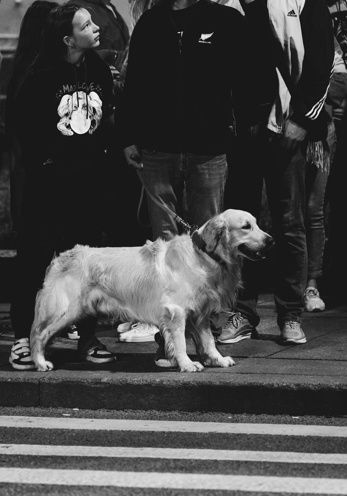 Фотография автора Колобаев Глеб