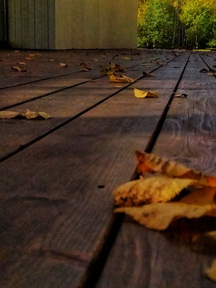 Photograph by Любовь Сухова