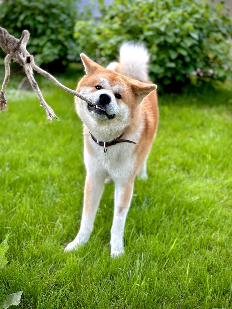 Photograph by Александр Миськов