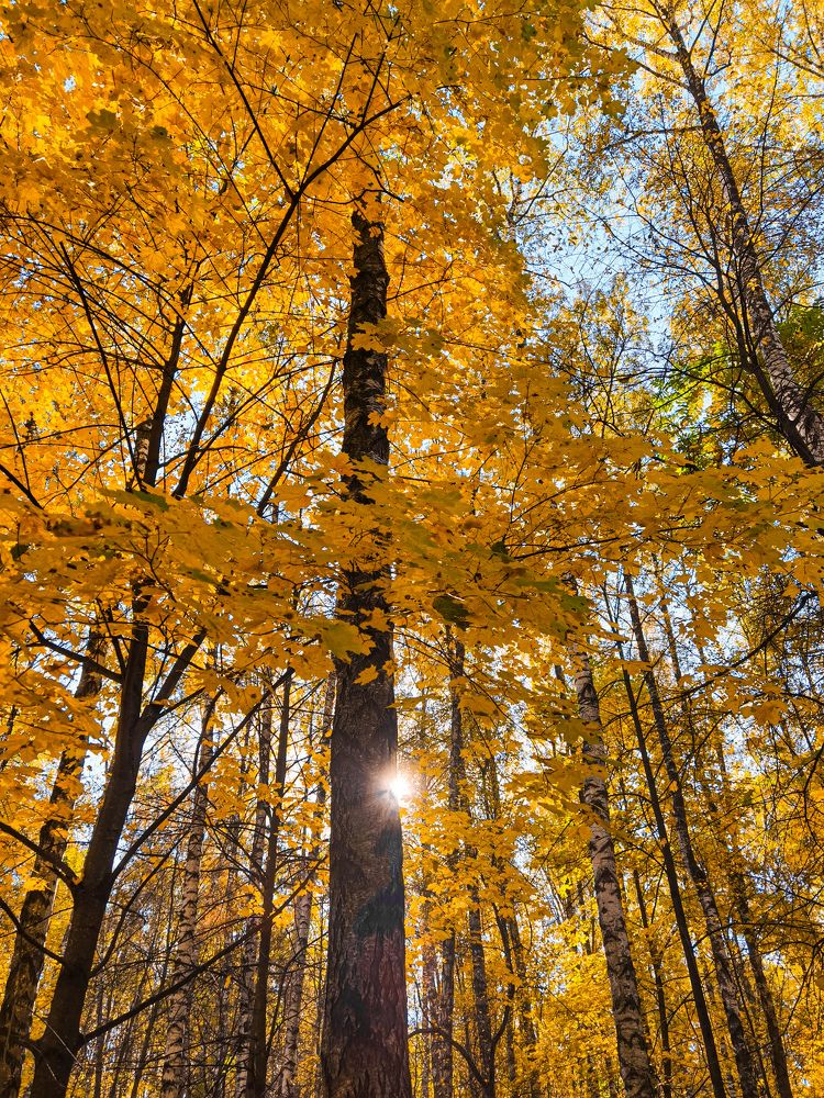 Photograph by Влад Апанасов