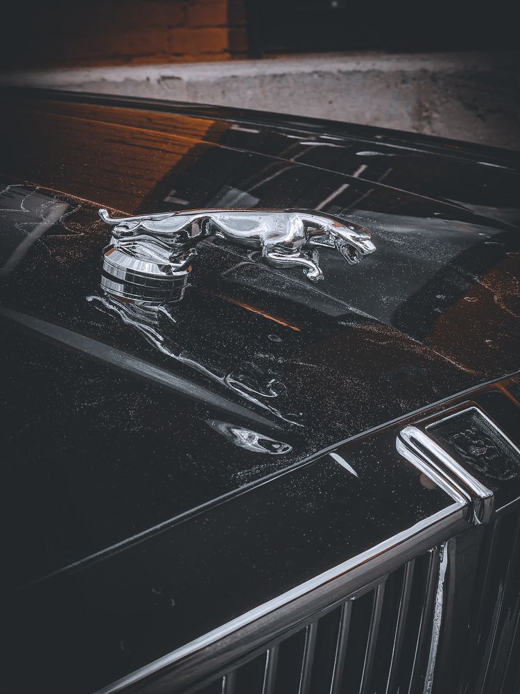 Photograph by Влад Апанасов