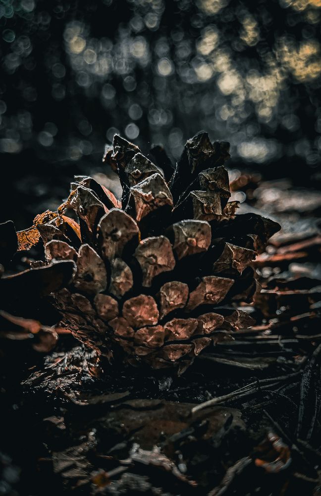 Photograph by Влад Апанасов