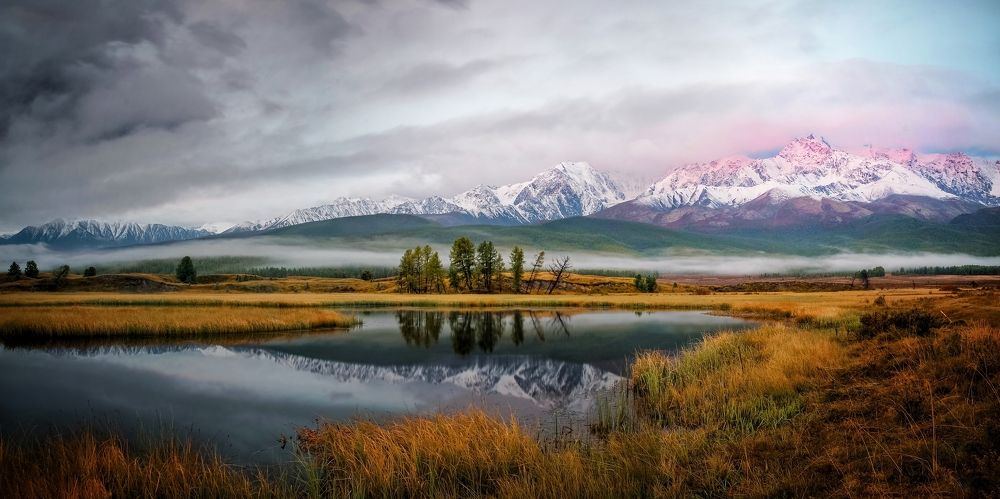 Photograph by Tatiana Meshcheryakova