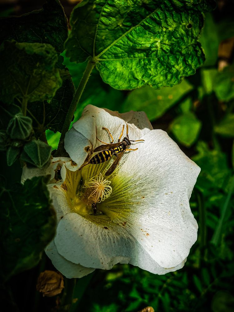 Photograph by Влад Апанасов