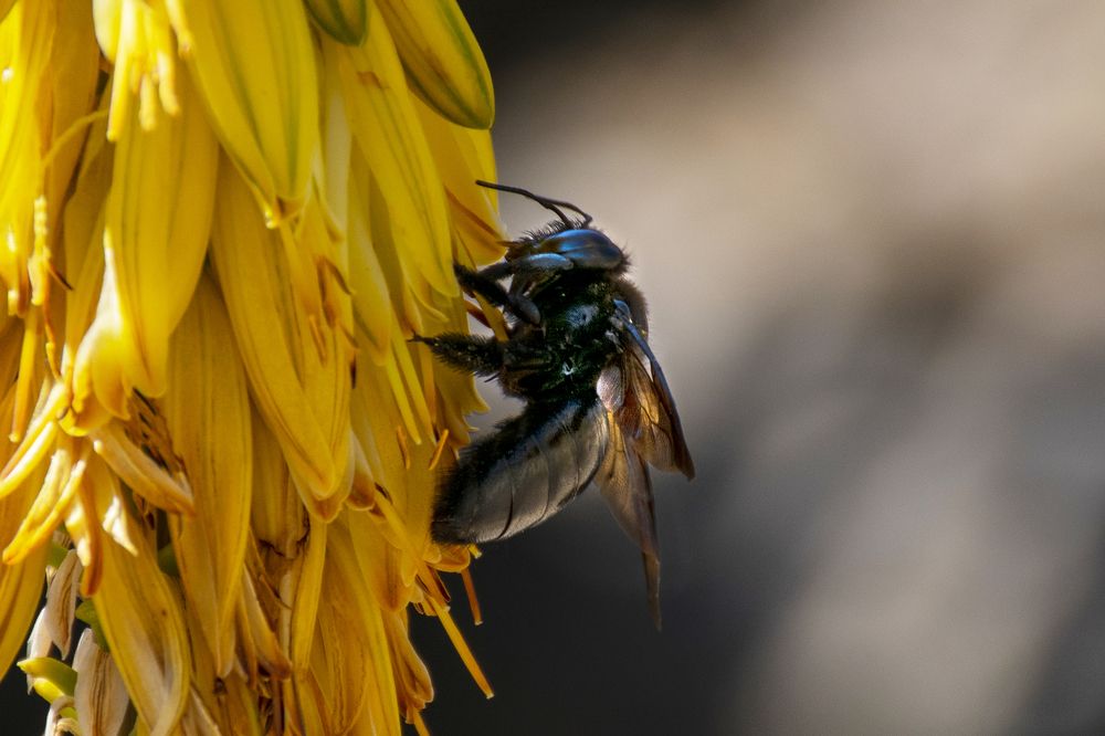 Photograph by Diana Macías