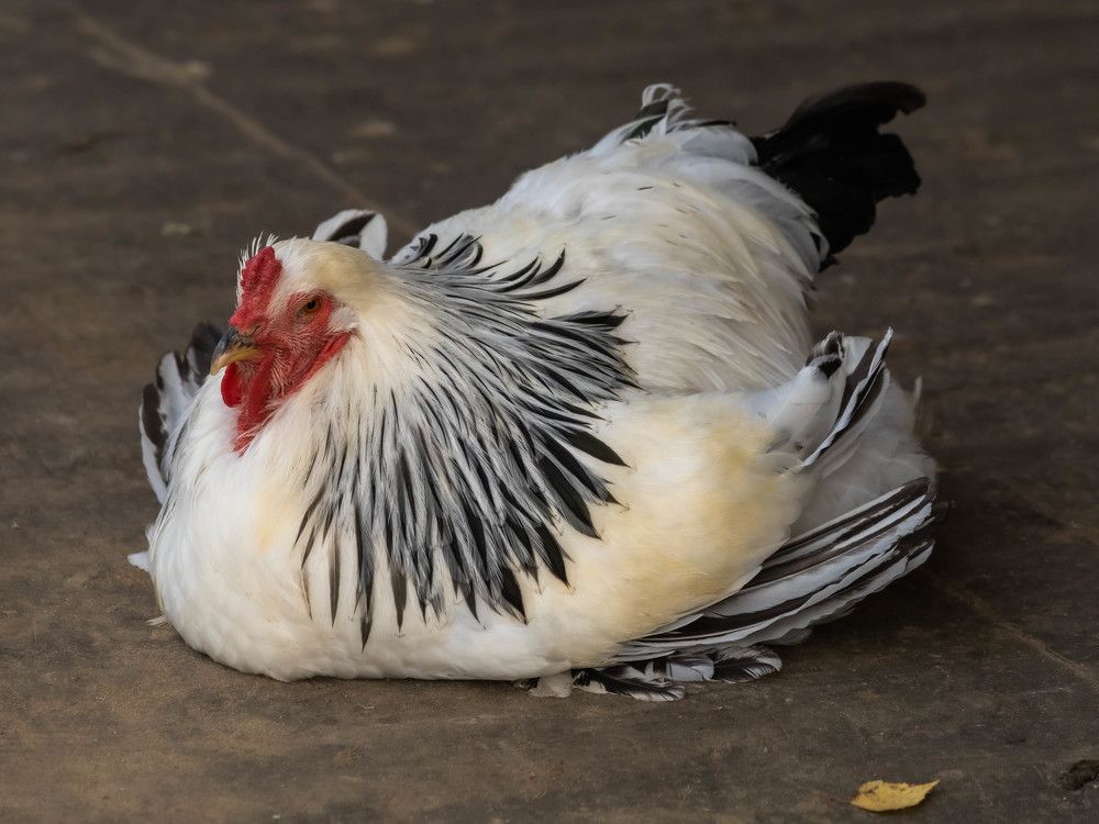 Photograph by Елена Белехова