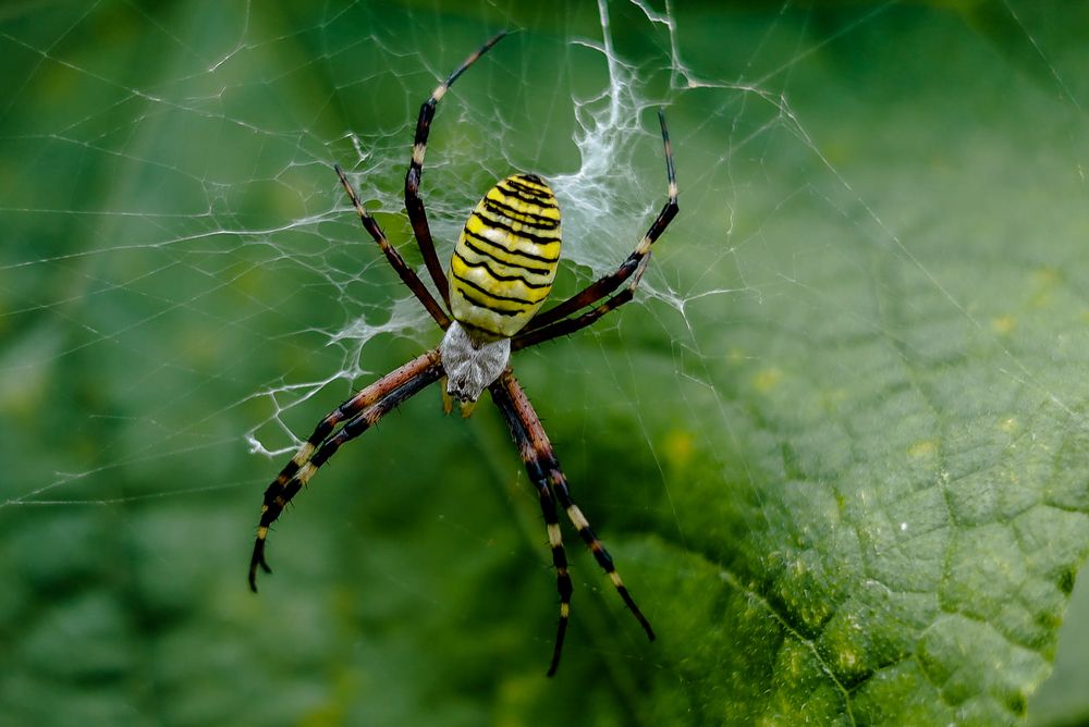 Photograph by Наталья Лобанова