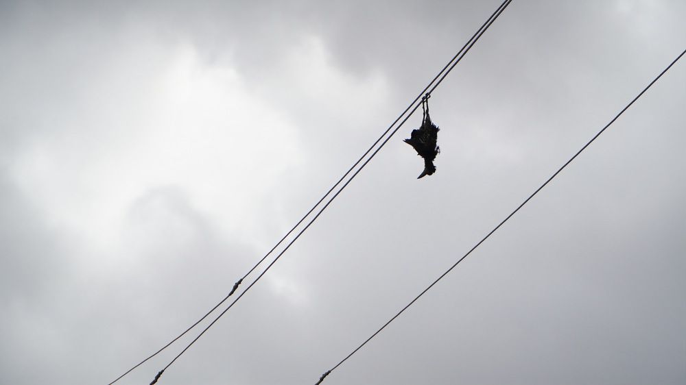 Photograph by Bolatkali Zhan