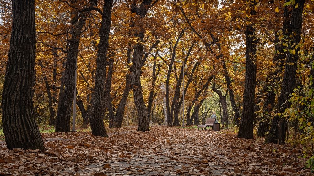 Photograph by Игорь Иванов