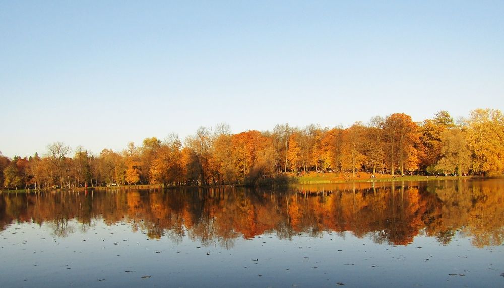 Photograph by Наталина Князева