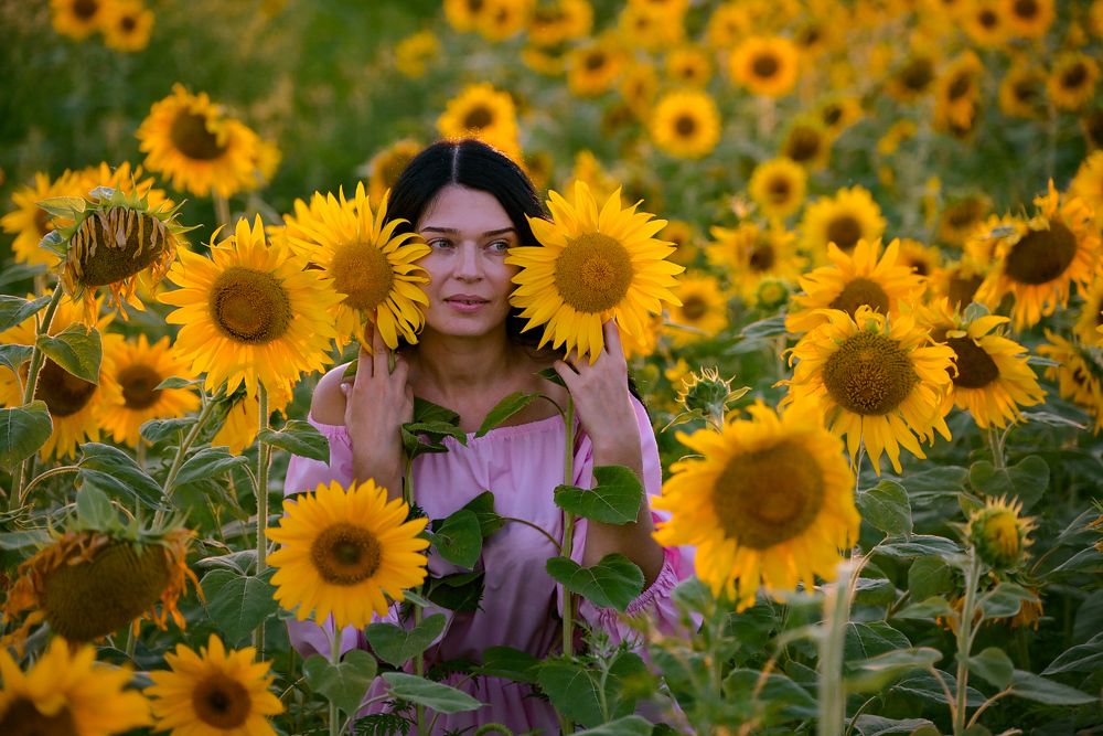 В госях у солнышек.