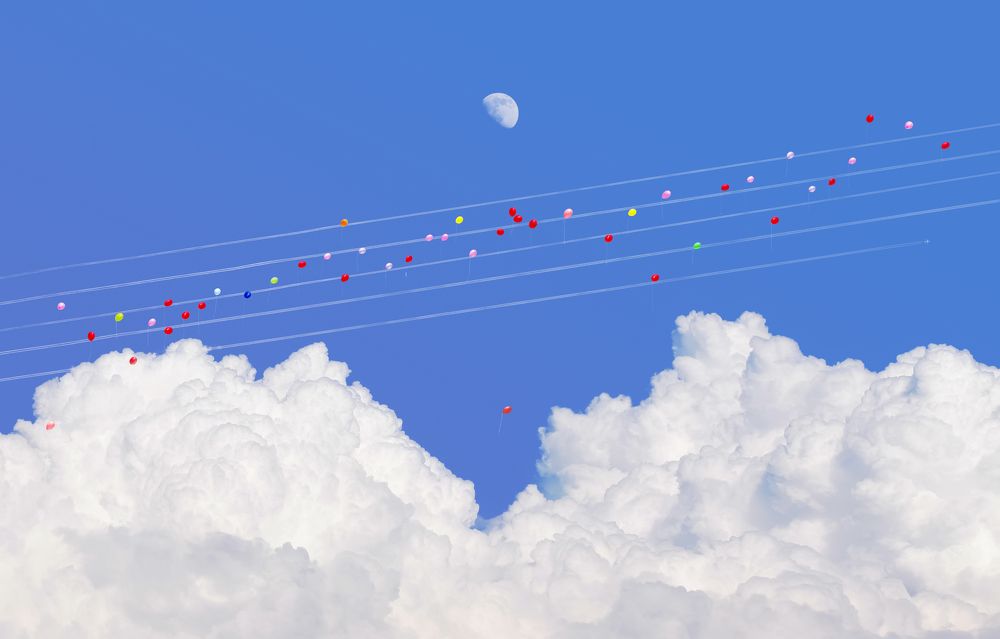 Photograph by KAWAKAMI KAZUTOSHI