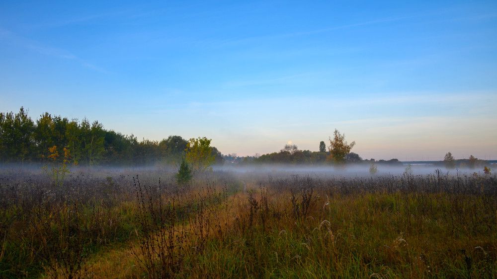 Photograph by Андрей Серга
