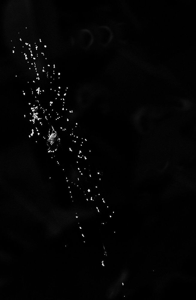 Фотография автора Роман Савоцкий