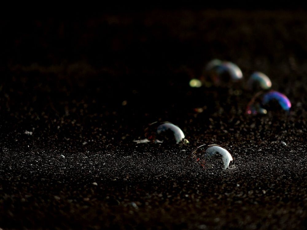 Фотография автора Роман Савоцкий