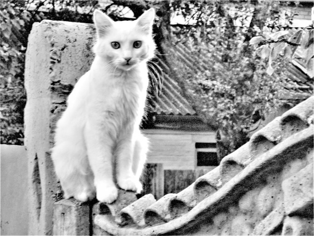 Photograph by Владимир Подкуйко