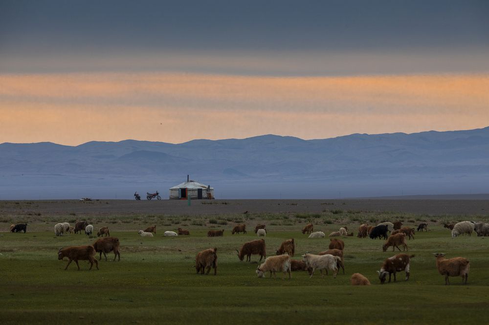 Photograph by Дмитрий Юдин