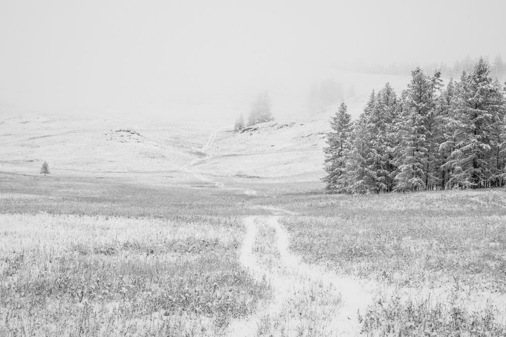 Photograph by Оксана Соколова