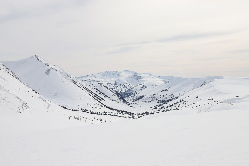 Photograph by Оксана Соколова