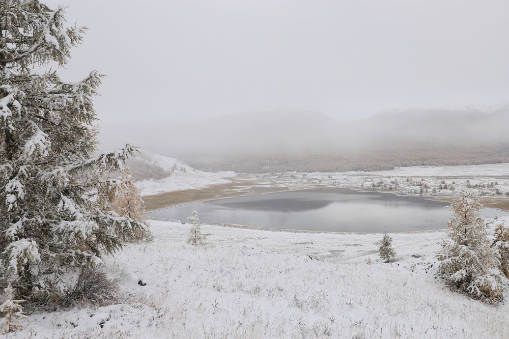 Photograph by Оксана Соколова