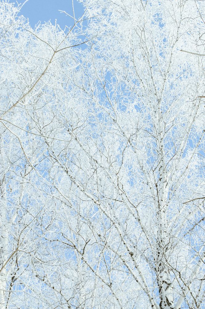 Photograph by Оксана Соколова