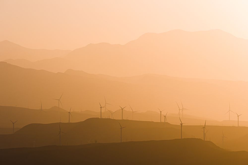 Photograph by Mohammad reza Falah