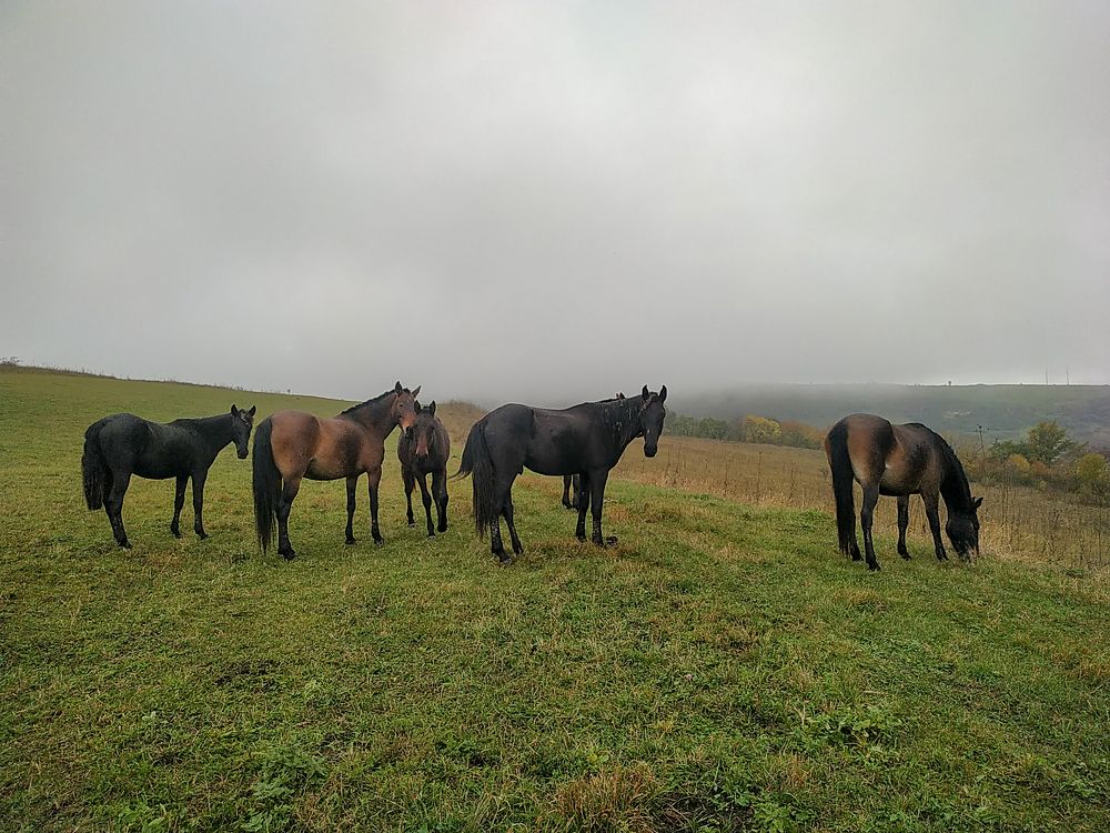 Photograph by Виталий Маслов