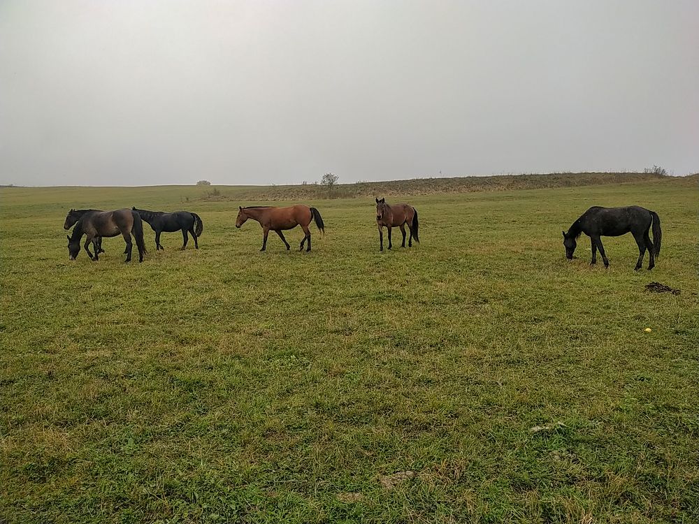 Photograph by Виталий Маслов