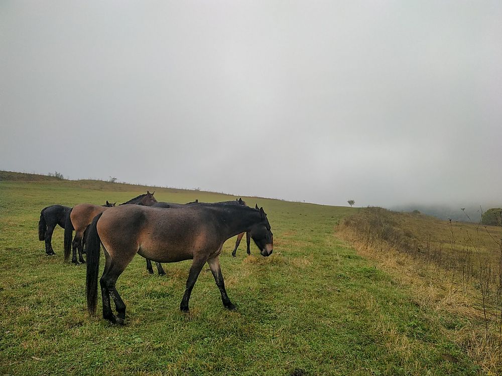 Photograph by Виталий Маслов