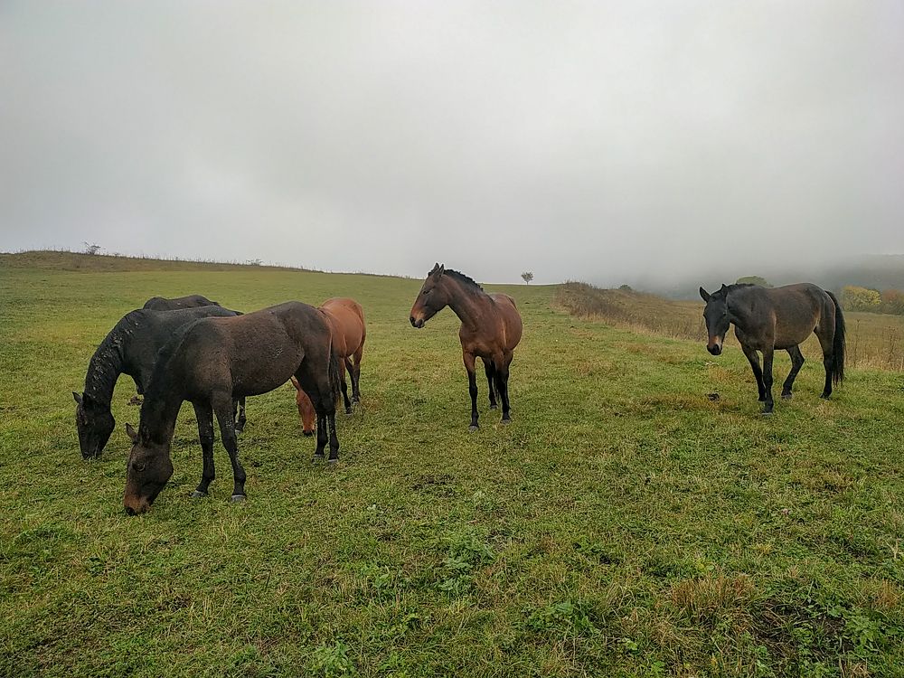 Photograph by Виталий Маслов