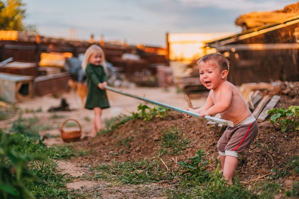 Фотография автора Дарья Шевченко