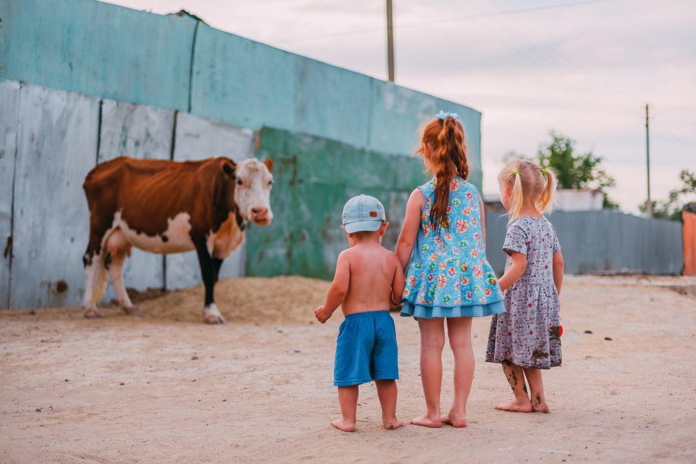 Фотография автора Дарья Шевченко