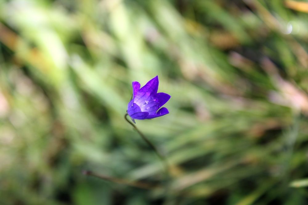 Photograph by Olga Bagaeva