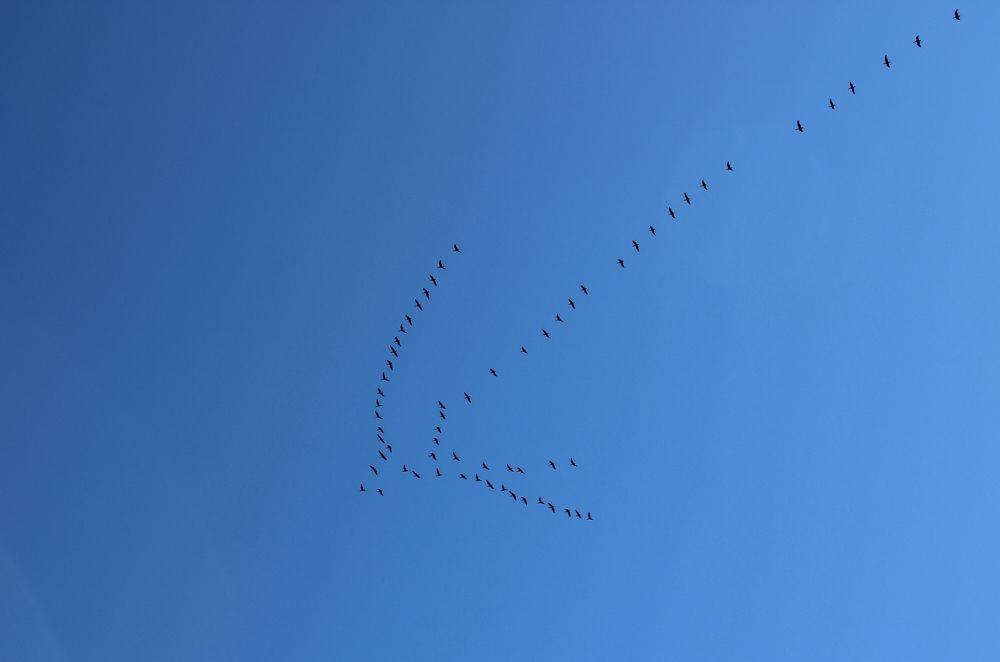 Photograph by Olga Bagaeva