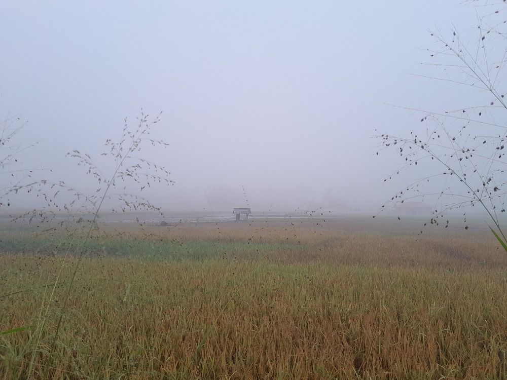 Tasbih Subahanalloh Di keheningan Subuh