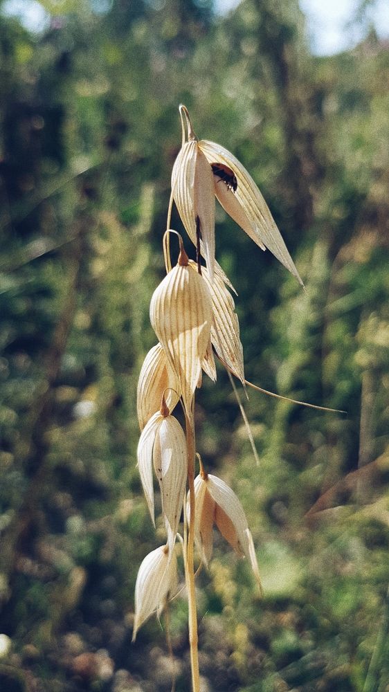 Photograph by Дарья Агапова