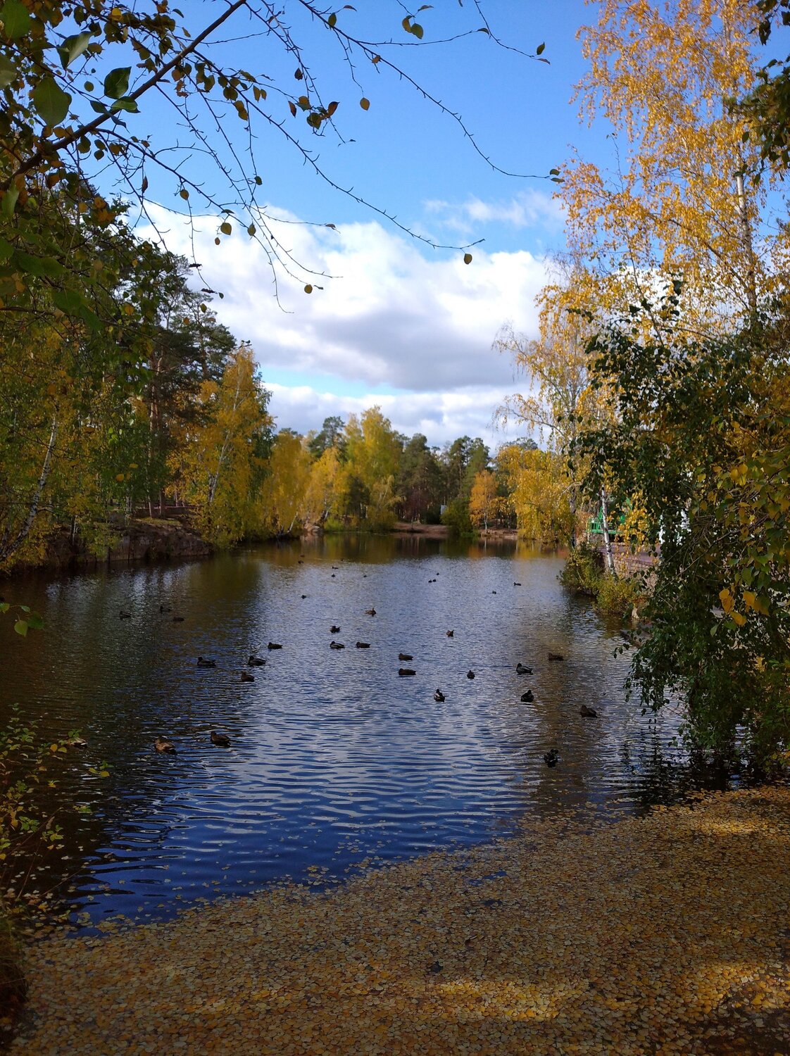 Photo #9618558